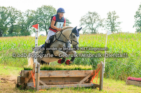 SGW Bollert Gelselaar Veteranen 07-09-24