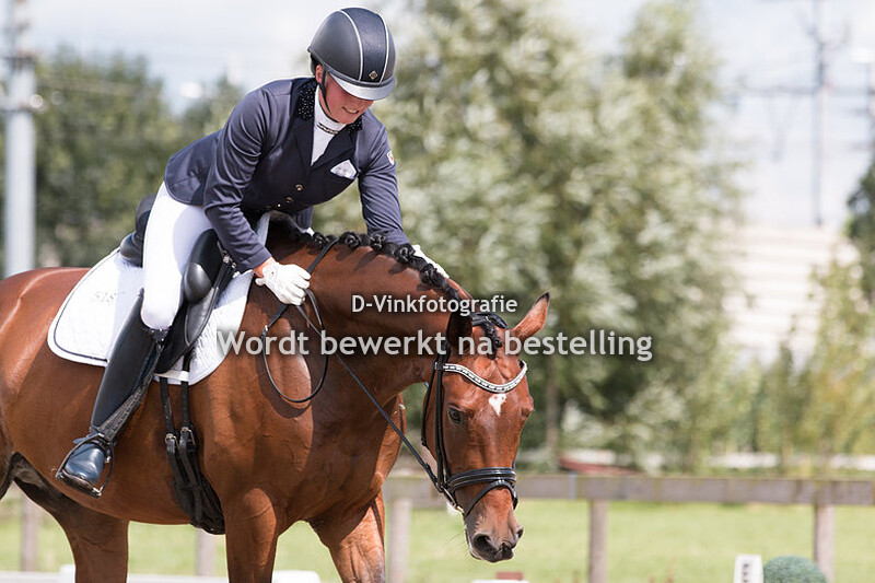 Kimberley Roodenburg - Golden Focus