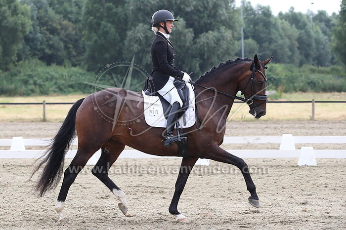 Marloes Bakker - Maan