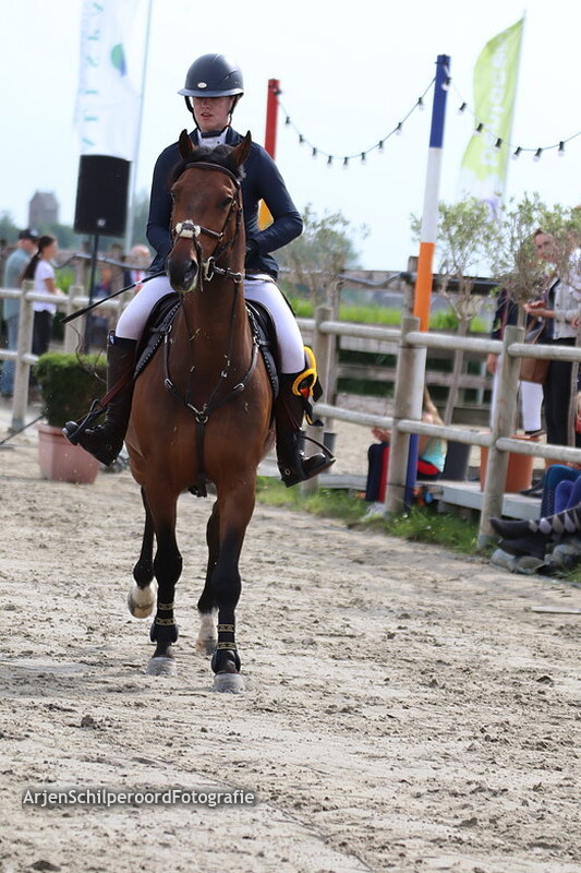 ch sneek 09-06-2019 Paarden L 