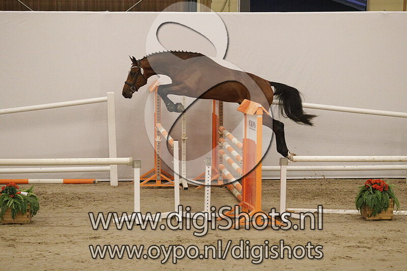 183 Larenzo S v. Hermantico