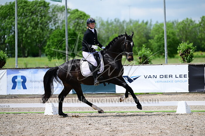 Joan Schuijff - Picasso