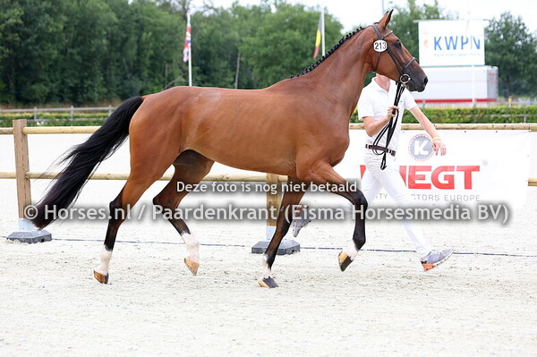 213 R.Bubert (Harley VDL x F.Buberth v. Up to Date)