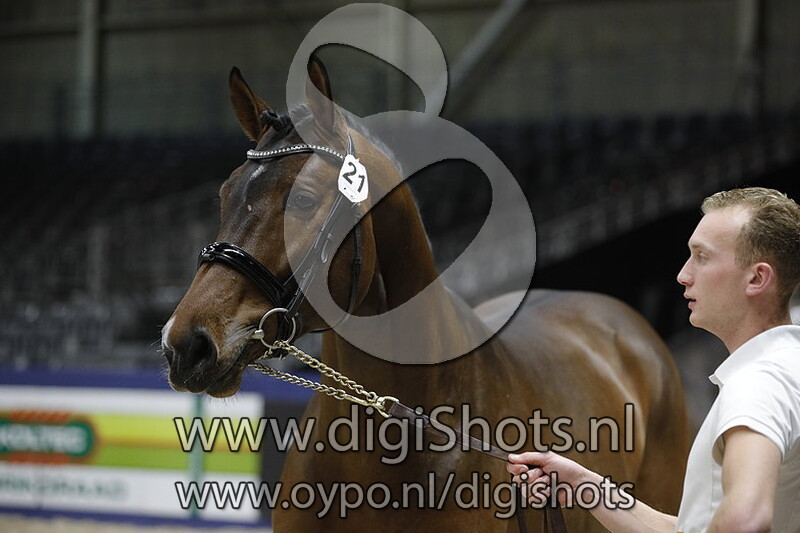 Gueb d Ouilly v. Canturo