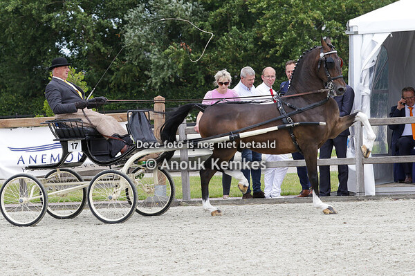 Fokker van het jaar Regio Noord 