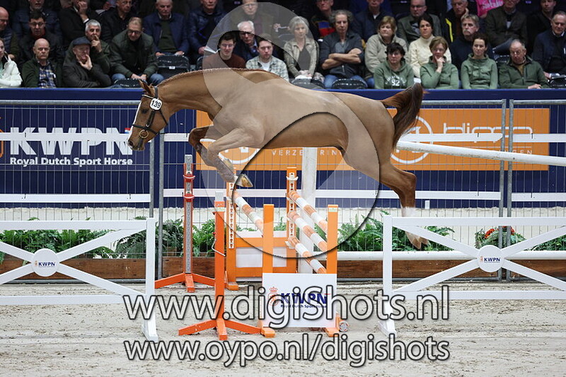 Symphograaf v. Pegase van t Ruytershof