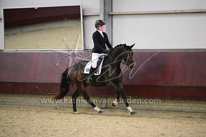 Kim Janmaat - Sensation