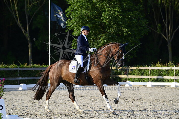 Lotje Schoots - Lucrum