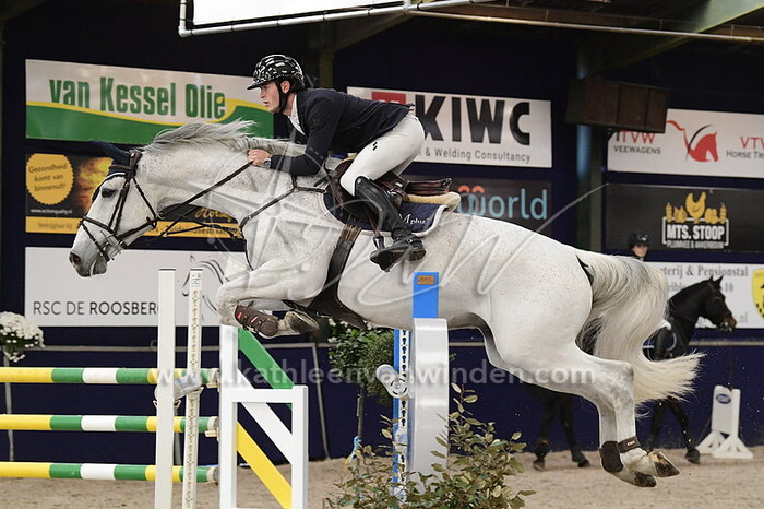 Tom Schellekens - Jingle Bells AC