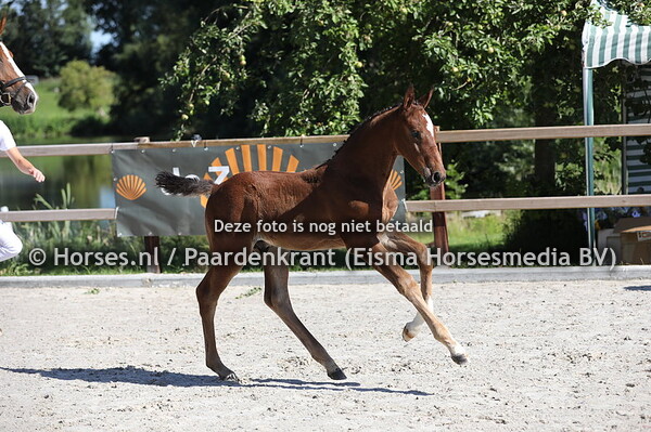 3 Seigneur de Fleur B