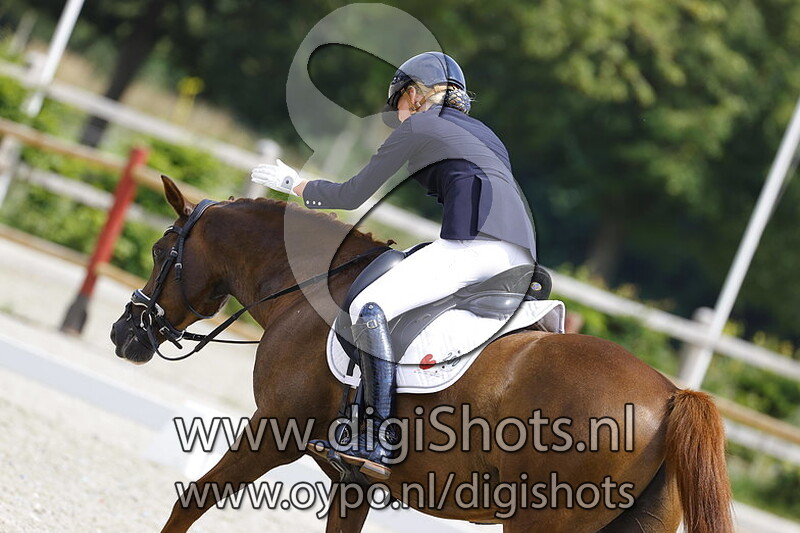 De Merksen Don Diablo