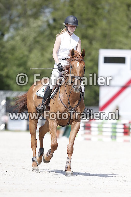 Anoek van der Pluijm