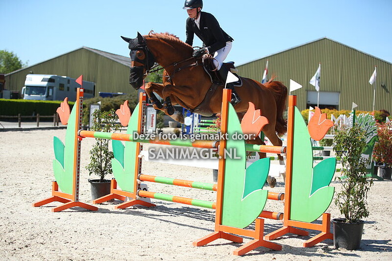 Stal Groenendaal springen Paarden 29-04-2025 120 cm