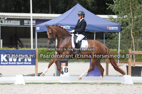 Halve Finale Pavo Cup Vierjarigen 2023