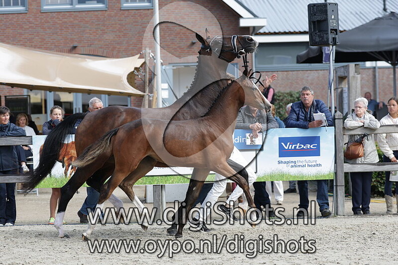 Verarebi Rep v. One Million