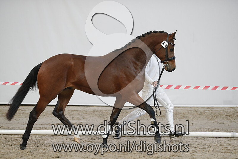 Melone v. Dante Weltino