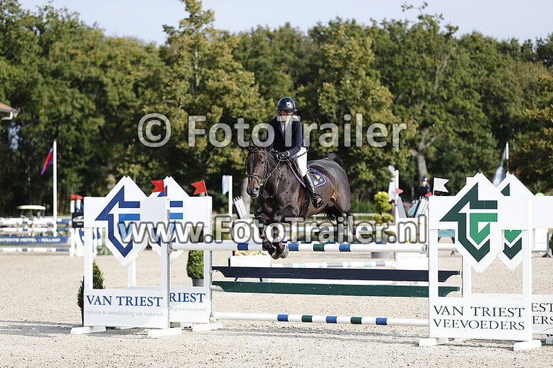 constanca almeida fernandes