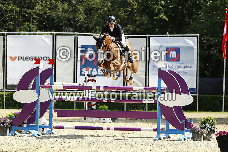 dennis van den brink