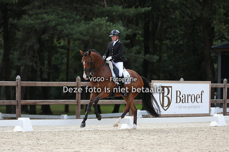 Ring 4 Z1 Paarden 1e proef