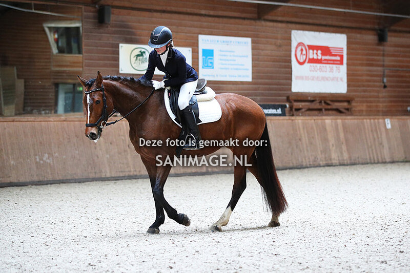 PV Midland Dressuur 19-02-2023 Ochtend