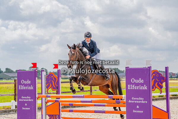 Beemster Ruiters Paard 110cm