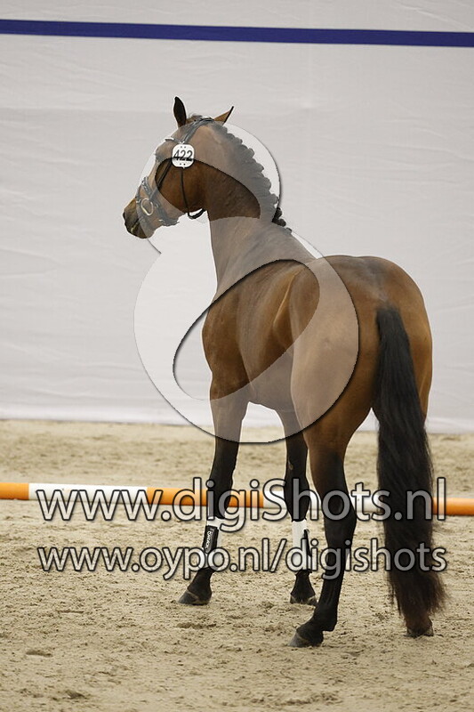 Sokarde van de Herkenhoek v. Las Vegas