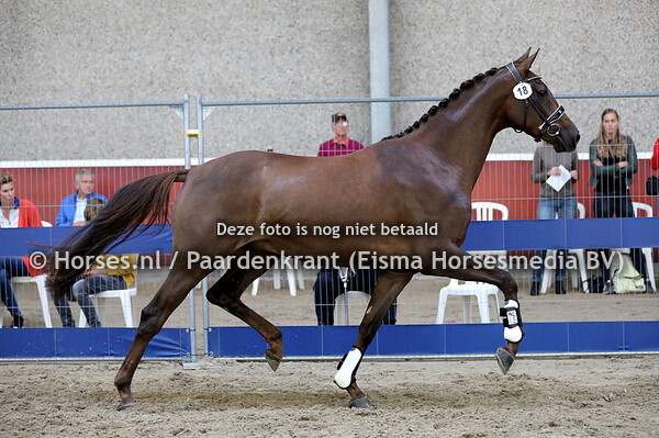 18 Mademoiselle Sollenburg