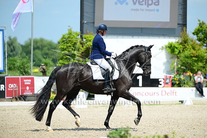 Renate Langeberg - Pereira