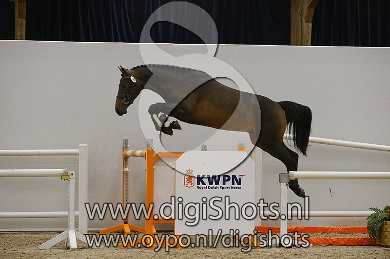 Nova Zembla v. L Arc de Triomphe