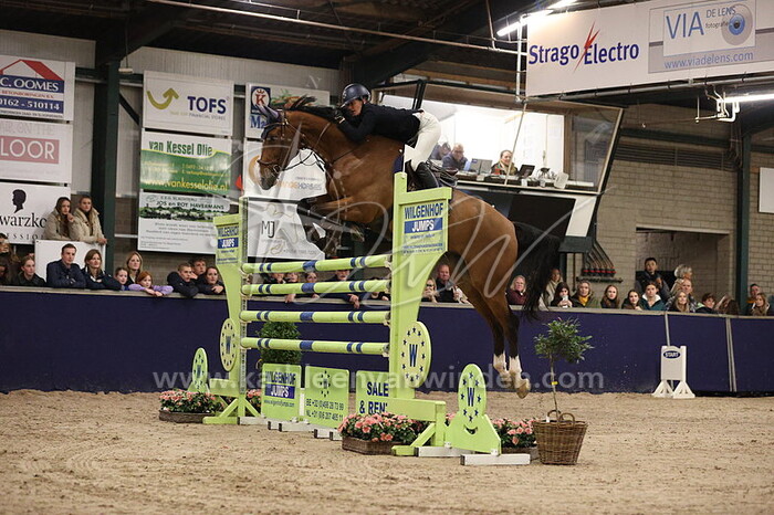 Linn Kvernes - Plectrum v.d. Bisschop