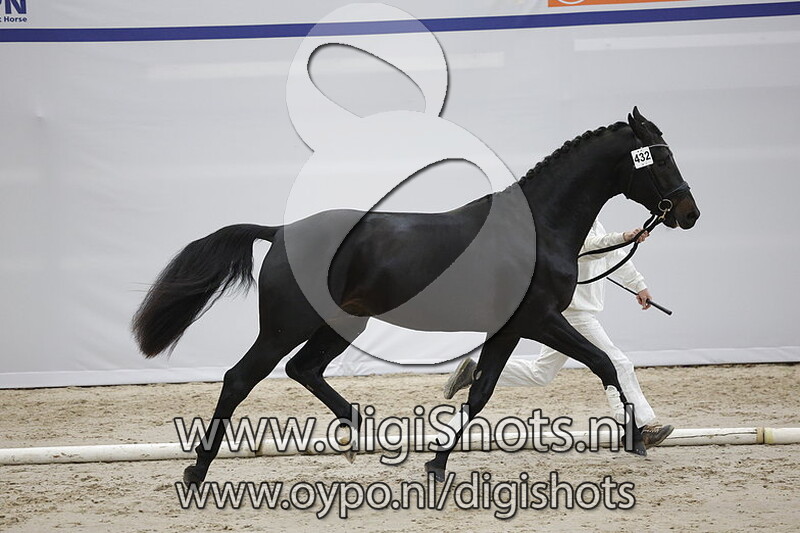 Pernod v. Just Wimphof - 432