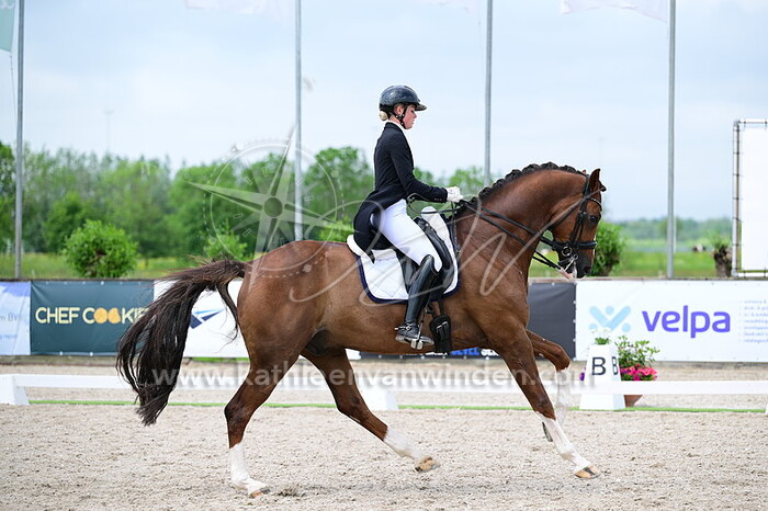 Kris de Vries - King Fan Weerdenbras