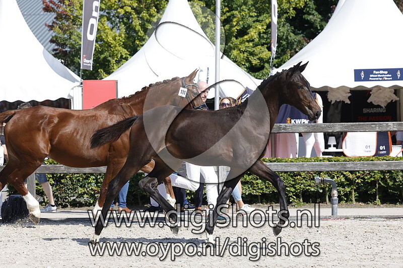 Tovowendy v. Merlot VDL