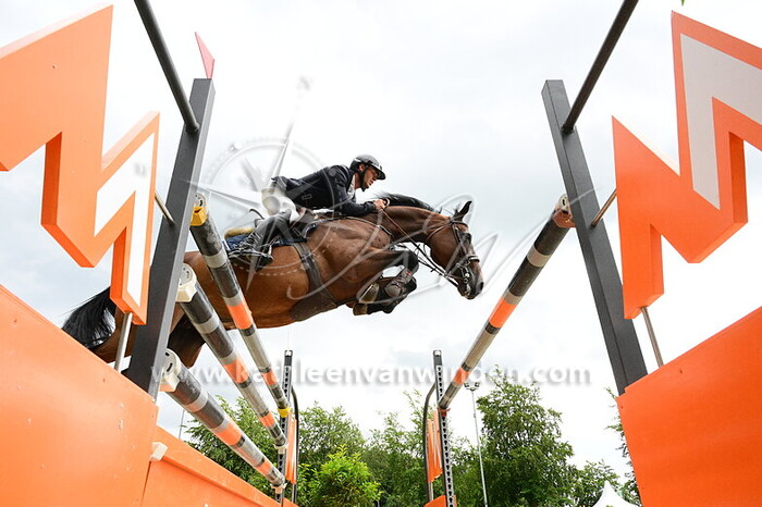 Tom Schellekens - Chella II de Laubry Z