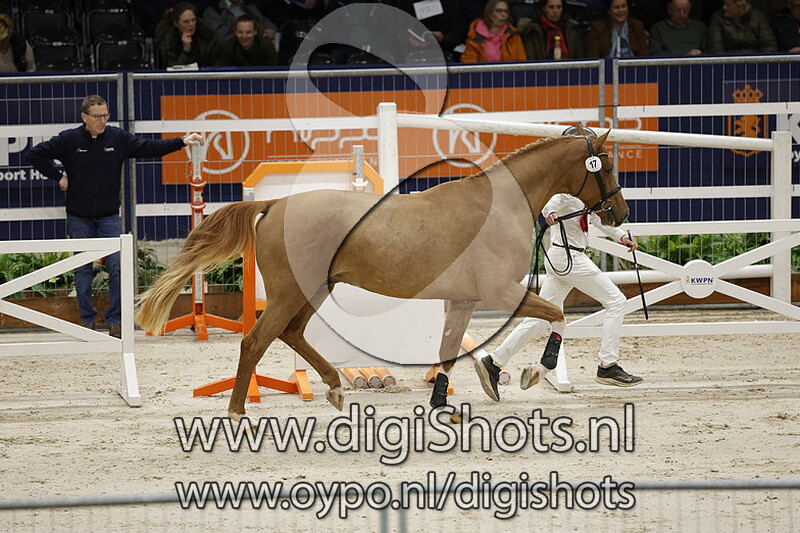 Ropario v. Bustique - 017