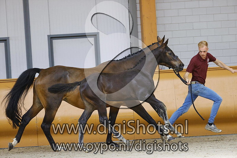 Palermo v. Tokyo du Soleil