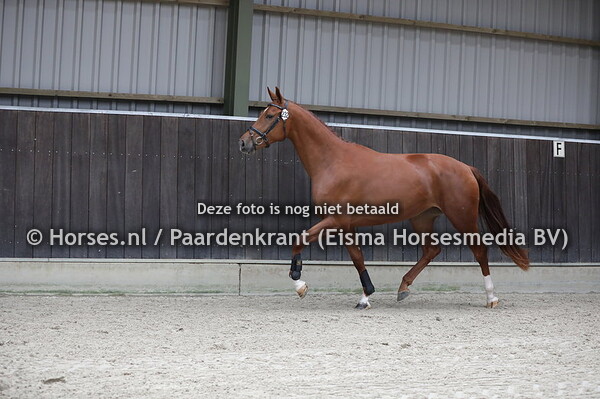 28-07-2020 13:52:53