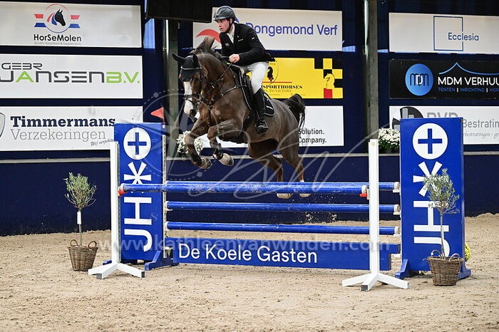 Leonardo Canepari - Artemis DMH Z