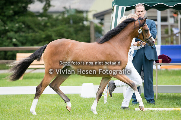 Regionale Keuring Hellendoorn