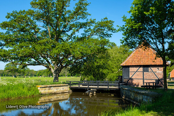 Oele - Watermolen Oldemeule