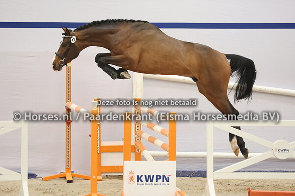 27 (CHaccothage Blue PS x Viva la Vida Z)