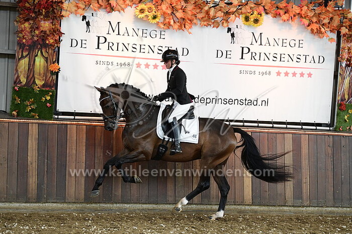 Yulan Visser - Ostilio