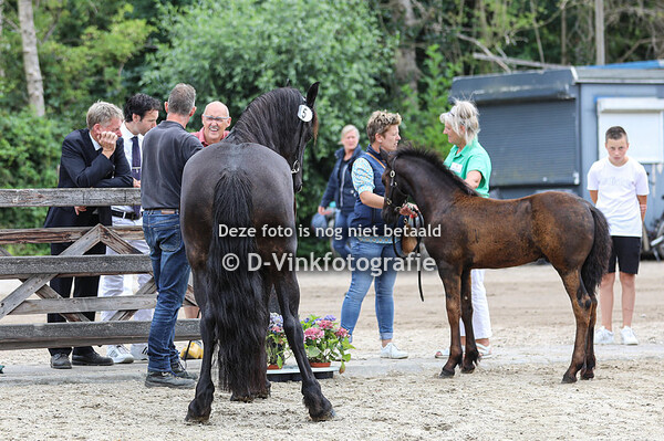 05. Tieme van Raepshille