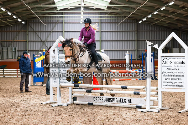 20240224-pony-60-70cm