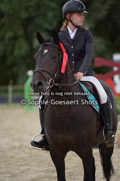 Prijsuitreiking Ponies hoogte 100