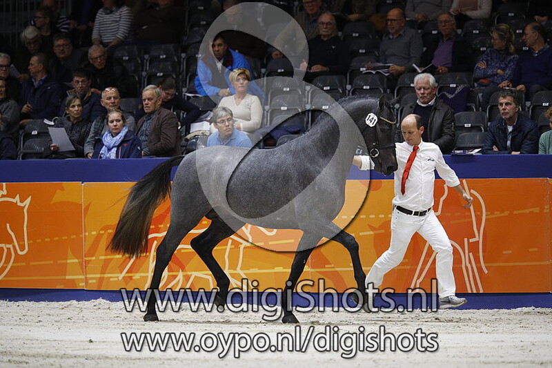 Lavsco Gold Fortuna v. Glenfiddich VDL