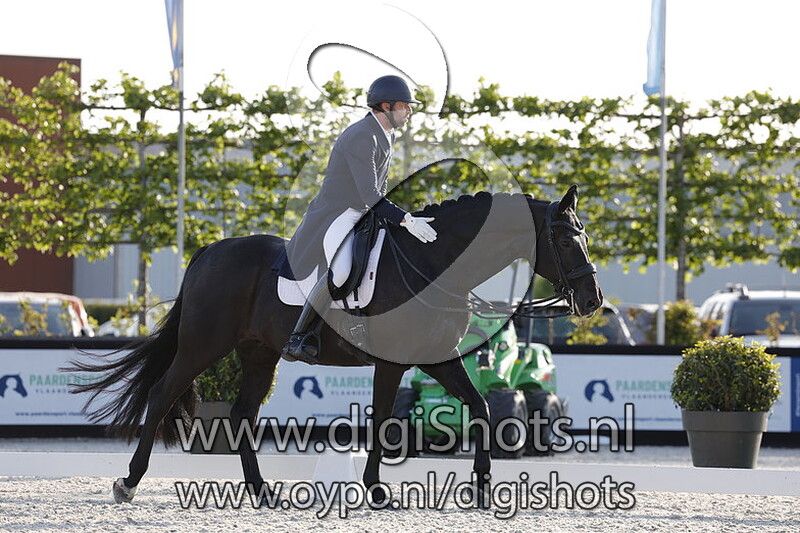 Kryptonite van de Performing Stables