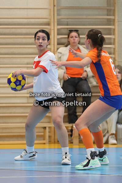 2025-04-19-17-hall2-JSPN-NED-TUR