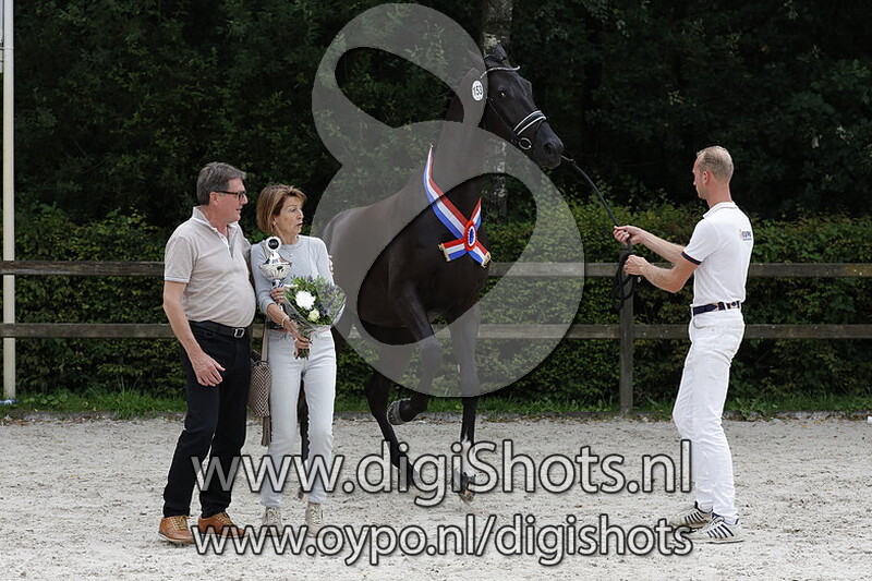 Phoenix Utopia RS2 v. Jameson RS2