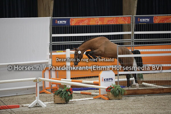 83 Night Life VDL  (Erco van't Roosakker x Arezzo VDL)